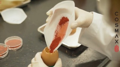 코스맥스 3분기 실적 예상치 하회..마진하락에 목표가↓